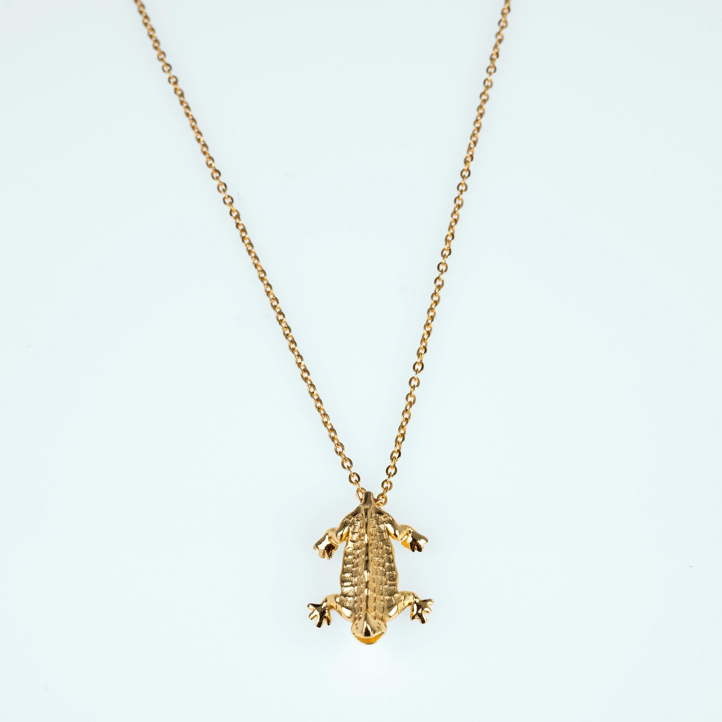 Lizard