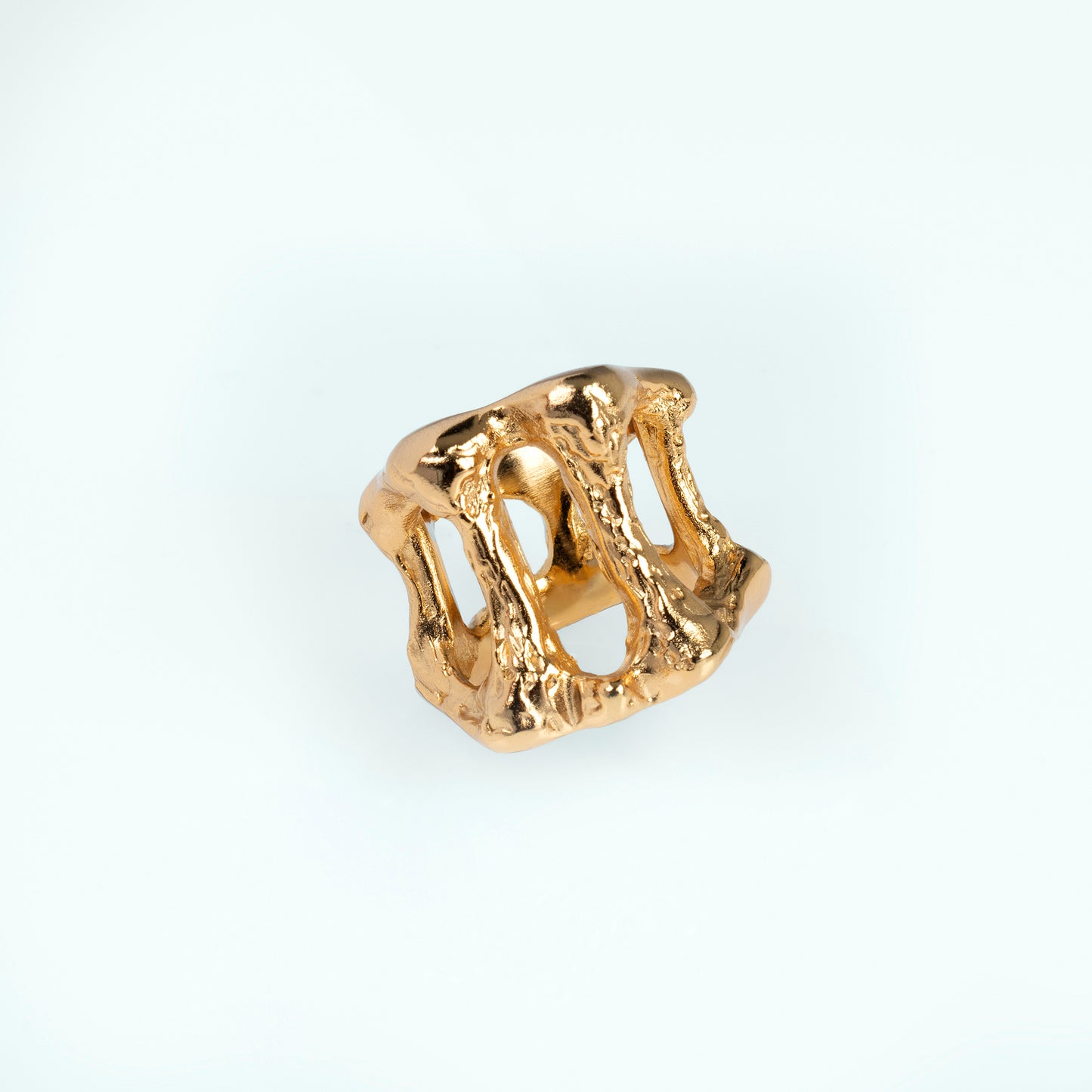 Bone Window